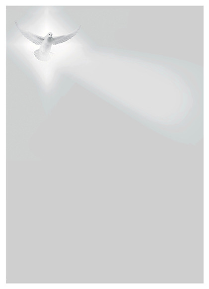 Theme preview